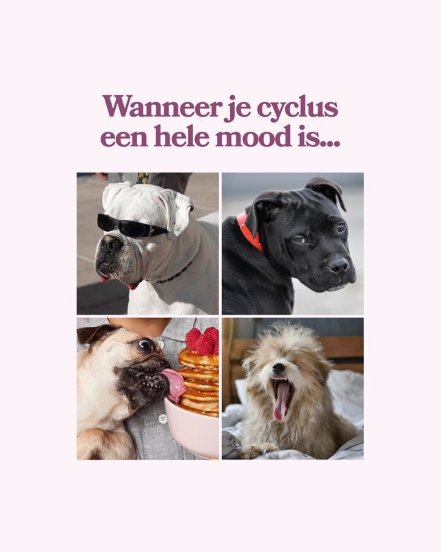 Wanneer je cyclus een hele mood is… 😅 van huilbuien naar cravings naar de ‘laat me even met rust’-dagen. Welke mood herken jij? 👀
