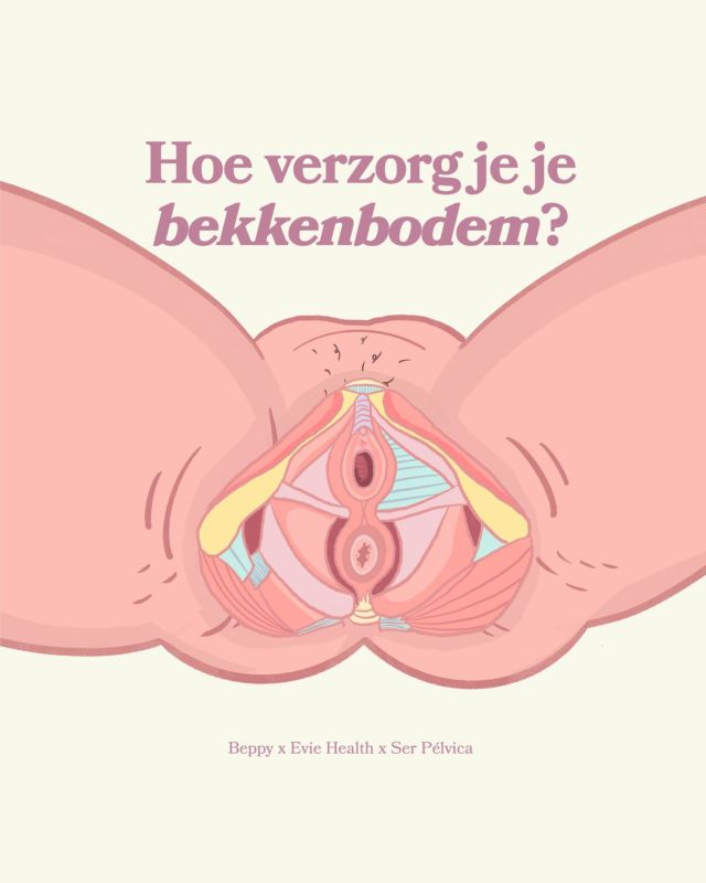 We delen het met je in een serie posts over de bekkenbodem, in samenwerking met @Hievie.co en @Serpelvica ✨

Leer alles over je bekkenbodem: oefeningen om thuis te trainen, tips om slechte gewoontes te vermijden – en nog veel meer verrassende inzichten! Wist je bijvoorbeeld dat persen tijdens het toiletteren slecht is voor je bekkenbodem? WAT? Veel mensen denken dat het normaal is, maar dat is het niet! In deze serie leer je naar je lichaam te luisteren, menstruatiekrampen te verminderen door middel van oefeningen, en je lichaam van binnenuit te begrijpen 🌸

Illustraties @uyesasarah 

Blog- Link in Bio 🔑

Tot volgende week!
